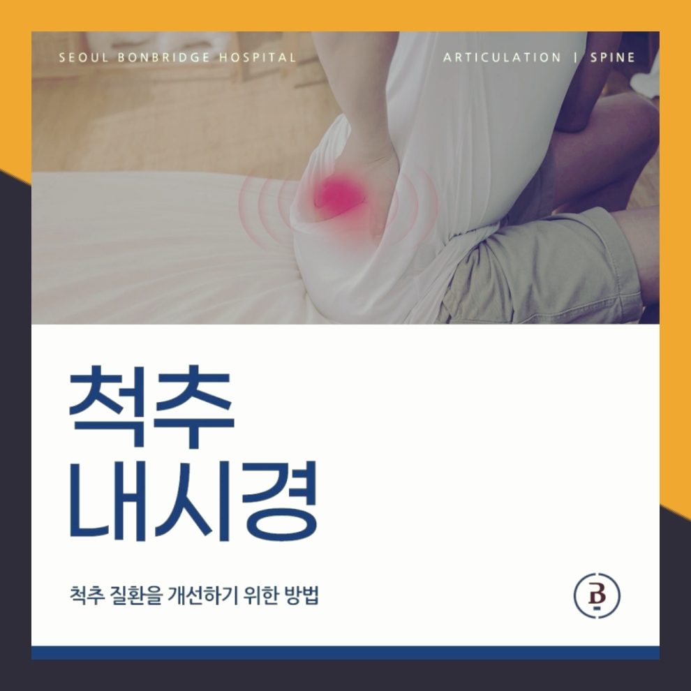 양방향 척추내시경 서울본브릿지병원