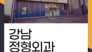 서울본브릿지병원 강남정형외과