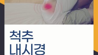 양방향 척추내시경 서울본브릿지병원